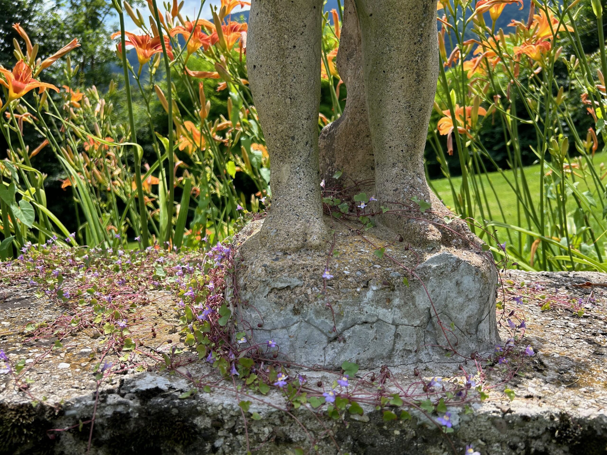 Giardiniere d’arte per giardini e parchi storici